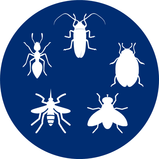 Non-Toxic Insect Repellent & Bug Spray | Proven Repellent