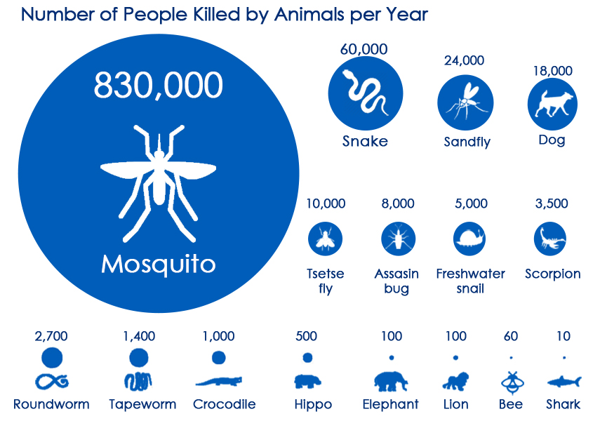 worlds-deadliest-animal-mosquito-proven-insect-repellent