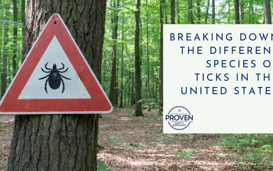 Breaking Down the Different Species of Ticks in the United States