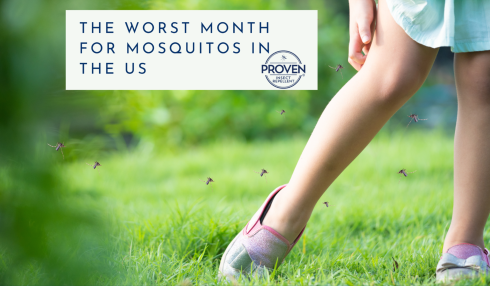 The Worst Month For Mosquitos In The United States Proven Insect